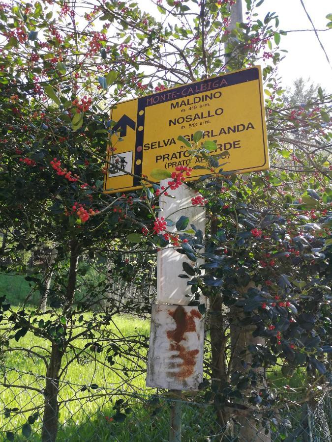 Agriturismo Nona Emma Piano Porlezza Exteriér fotografie